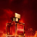 BACCARAT ROUGE 540 - Perfum Elite